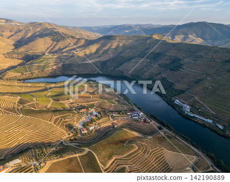 Terraced vineyards above Douro River in Douro Valley Portugal Terraced vineyards above Douro River in Douro Valley Portugal 142190889