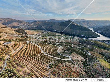 Terraced vineyards and winding roads in Douro Valley Portugal aerial Terraced vineyards and winding roads in Douro Valley Portugal aerial 142190890
