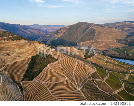 Patterned vineyard terraces near Douro River in Portugal aerial Patterned vineyard terraces near Douro River in Portugal aerial 142190891