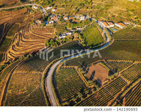 Drone view of Douro Valley vineyards and hillside homes Drone view of Douro Valley vineyards and hillside homes 142190893