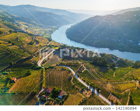 Winding road and Douro River vineyards at sunrise Portugal Winding road and Douro River vineyards at sunrise Portugal 142190894