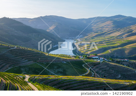 Douro River sunrise over vineyard terraces in Douro Valley Douro River sunrise over vineyard terraces in Douro Valley 142190902