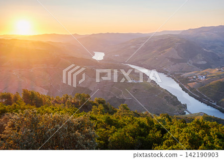 Sunrise Over Douro River and Vineyard Hills in Portugal Sunrise Over Douro River and Vineyard Hills in Portugal 142190903
