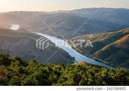 Douro River Vineyard Valley Overlook at Sunrise in Portugal Douro River Vineyard Valley Overlook at Sunrise in Portugal 142190905