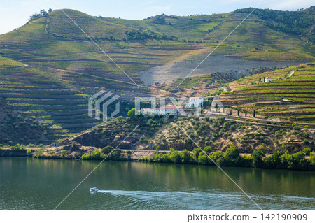 Douro River Boat and Quinta Vineyard in Portugal Daylight Douro River Boat and Quinta Vineyard in Portugal Daylight 142190909
