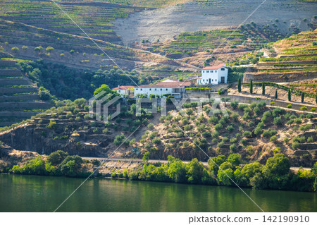 Quinta winery buildings on Douro Valley terraces above the river 142190910