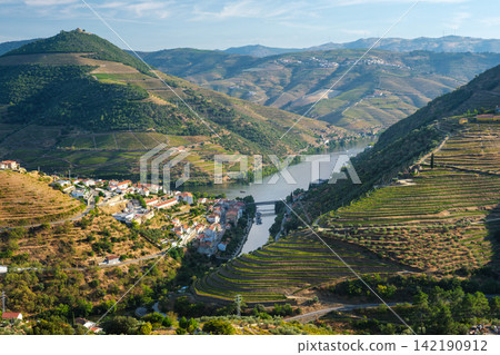 Regua Town in Douro Valley Portugal with River Terraces Regua Town in Douro Valley Portugal with River Terraces 142190912
