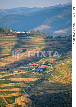 Douro Valley vineyard hills in a compressed scenic view Douro Valley vineyard hills in a compressed scenic view 142190915