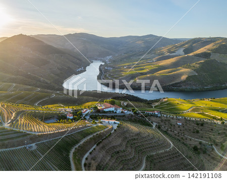 Douro River terraced vineyards sunset aerial view village Douro River terraced vineyards sunset aerial view village 142191108