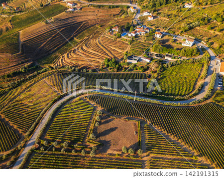 Drone view of Douro Valley vineyard hills with a winding road Drone view of Douro Valley vineyard hills with a winding road 142191315