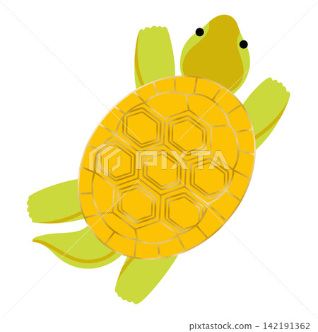 敬老日——海龜插圖 敬老日——海龜插圖 142191362