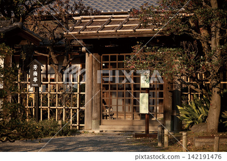 濱離宮花園 濱離宮花園 142191476