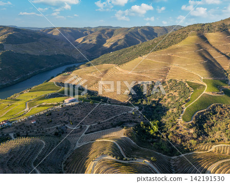 Douro River sunset above terraced vineyards in Douro Valley Douro River sunset above terraced vineyards in Douro Valley 142191530