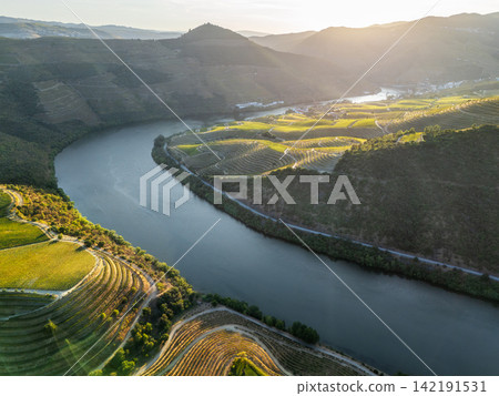 Douro River terraced vineyards sunset aerial view river bend Douro River terraced vineyards sunset aerial view river bend 142191531