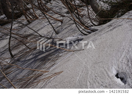 Thaw Thaw 142191582
