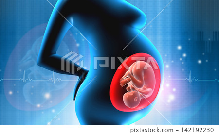 Pregnant woman with fetus in womb Pregnant woman with fetus in womb 142192230