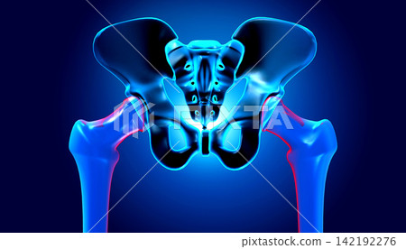 Human hip bone or pelvic pain 142192276