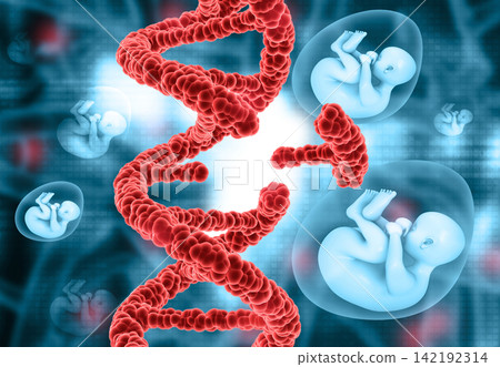 DNA strand with fetus. gene editing cocnept DNA strand with fetus. gene editing cocnept 142192314