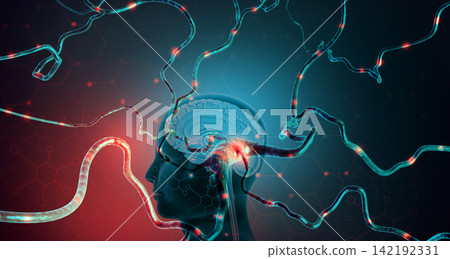 Human brain with active neuron cell Human brain with active neuron cell 142192331
