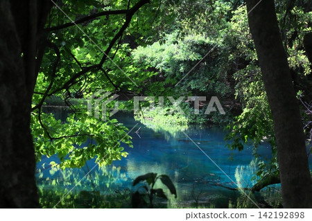 鬱鬱蔥蔥的森林中，隱藏著一片神祕的藍色池塘：山形縣湯座町的丸池。 142192898