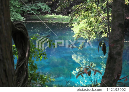 A mystical blue pond nestled in a lush green forest: Maruike Pond in Yuza Town, Yamagata Prefecture A mystical blue pond nestled in a lush green forest: Maruike Pond in Yuza Town, Yamagata Prefecture 142192902