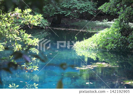 A mystical blue pond nestled in a lush green forest: Maruike Pond in Yuza Town, Yamagata Prefecture 142192905