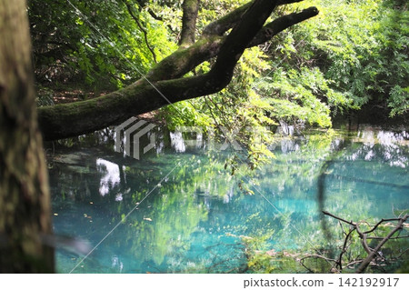 鬱鬱蔥蔥的森林中,隱藏著一片神祕的藍色池塘:山形縣湯座町的丸池。 鬱鬱蔥蔥的森林中,隱藏著一片神祕的藍色池塘:山形縣湯座町的丸池。 142192917