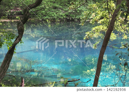 鬱鬱蔥蔥的森林中，隱藏著一片神祕的藍色池塘：山形縣湯座町的丸池。 142192936