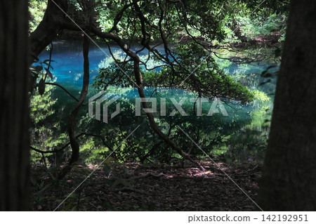 A mystical blue pond nestled in a lush green forest: Maruike Pond in Yuza Town, Yamagata Prefecture 142192951
