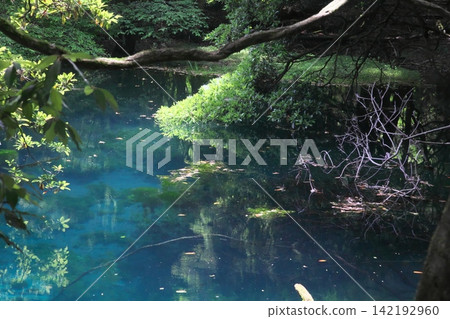 A mystical blue pond nestled in a lush green forest: Maruike Pond in Yuza Town, Yamagata Prefecture A mystical blue pond nestled in a lush green forest: Maruike Pond in Yuza Town, Yamagata Prefecture 142192960