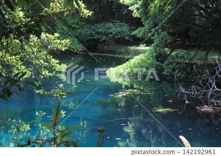 A mystical blue pond nestled in a lush green forest: Maruike Pond in Yuza Town, Yamagata Prefecture A mystical blue pond nestled in a lush green forest: Maruike Pond in Yuza Town, Yamagata Prefecture 142192961