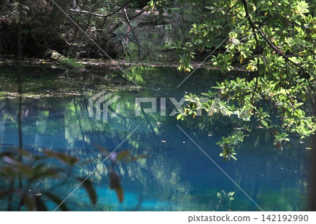 A mystical blue pond nestled in a lush green forest: Maruike Pond in Yuza Town, Yamagata Prefecture 142192990