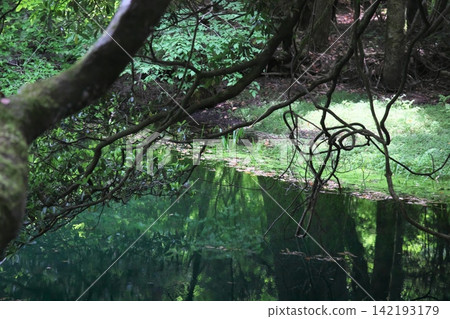 A mystical blue pond nestled in a lush green forest: Maruike Pond in Yuza Town, Yamagata Prefecture A mystical blue pond nestled in a lush green forest: Maruike Pond in Yuza Town, Yamagata Prefecture 142193179