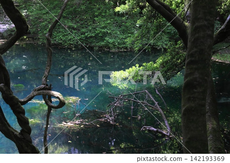 A mystical blue pond nestled in a lush green forest: Maruike Pond in Yuza Town, Yamagata Prefecture A mystical blue pond nestled in a lush green forest: Maruike Pond in Yuza Town, Yamagata Prefecture 142193369