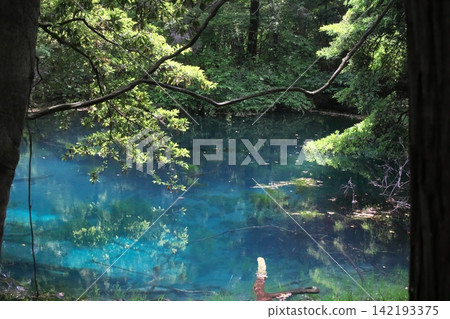 鬱鬱蔥蔥的森林中，隱藏著一片神祕的藍色池塘：山形縣湯座町的丸池。 142193375