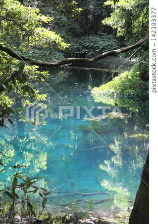 A mystical blue pond nestled in a lush green forest: Maruike Pond in Yuza Town, Yamagata Prefecture A mystical blue pond nestled in a lush green forest: Maruike Pond in Yuza Town, Yamagata Prefecture 142193377