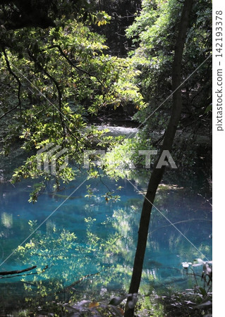 鬱鬱蔥蔥的森林中,隱藏著一片神祕的藍色池塘:山形縣湯座町的丸池。 鬱鬱蔥蔥的森林中,隱藏著一片神祕的藍色池塘:山形縣湯座町的丸池。 142193378
