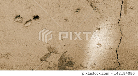 A worn wall with vertical cracks and small holes. 142194096