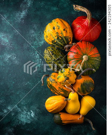 Various decorative pumpkin on green background Various decorative pumpkin on green background 142194305