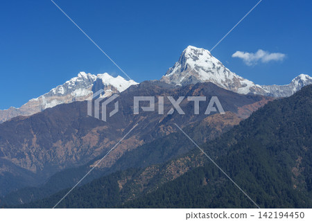 Poon Hill trekking in Nepal: Views of Machhapuchhre and Annapurna from Ghorepani. Poon Hill trekking in Nepal: Views of Machhapuchhre and Annapurna from Ghorepani. 142194450