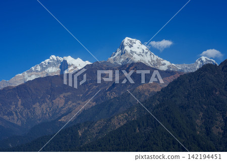 Poon Hill trekking in Nepal: Views of Machhapuchhre and Annapurna from Ghorepani. Poon Hill trekking in Nepal: Views of Machhapuchhre and Annapurna from Ghorepani. 142194451