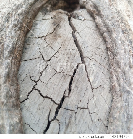 Macro shot focusing on deep cracks and rough texture inside an old wooden tree knot showing natural weathering processes Macro shot focusing on deep cracks and rough texture inside an old wooden tree knot showing natural weathering processes 142194794