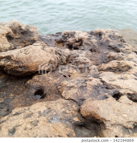 Close Detail Of A Dark Wet Coastal Rock Surface Heavily Pitted By Ocean Weathering Providing A Unique Natural Texture Art Close Detail Of A Dark Wet Coastal Rock Surface Heavily Pitted By Ocean Weathering Providing A Unique Natural Texture Art 142194869