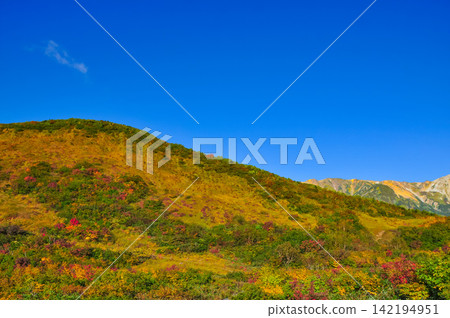 On a clear autumn morning, the scenery of Mt. Hakuba Yarigatake, Mt. Shakushidake, and Mt. Hakuba as seen from Kurobishi-daira, where the leaves are just beginning to change color. 142194951