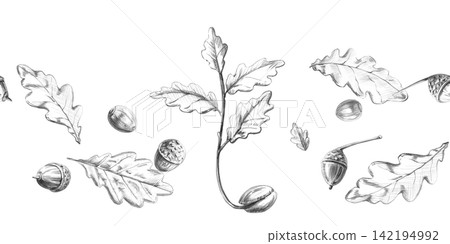 A detailed pencil drawing of a sprouting oak tree, leaves, and acorns in a seamless frame. This illustration is perfect for cards, invitations, seasonal decorations, logo design for handmade items. A detailed pencil drawing of a sprouting oak tree, leaves, and acorns in a seamless frame. This illustration is perfect for cards, invitations, seasonal decorations, logo design for handmade items. 142194992