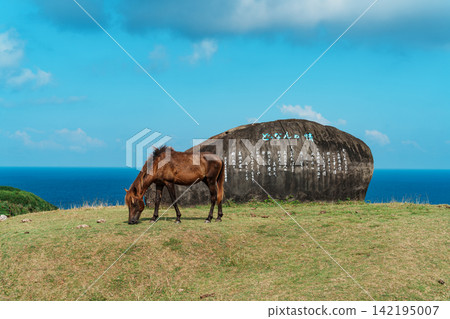 與那國島的馬兒在海岸邊吃草 與那國島的馬兒在海岸邊吃草 142195007