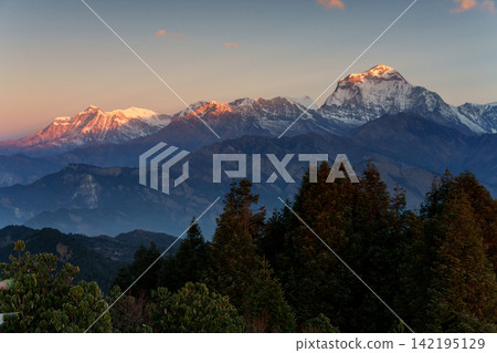 Sunrise over Dhaulagiri as seen from Poon Hill, Nepal. The Himalayan mountain landscape glows in the morning sun. Sunrise over Dhaulagiri as seen from Poon Hill, Nepal. The Himalayan mountain landscape glows in the morning sun. 142195129