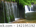 Shiraito Falls in Karuizawa cascades down moss-covered rock faces. 142195192
