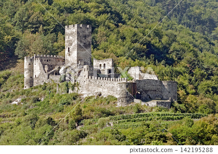 Ruin Hinterhaus in the Danube valley Ruin Hinterhaus in the Danube valley 142195288