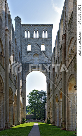 ruin of the former Benedictine abbey Jumieges ruin of the former Benedictine abbey Jumieges 142195301